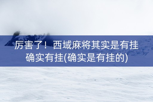 厉害了！西域麻将其实是有挂确实有挂(确实是有挂的)