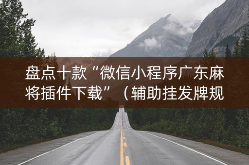 盘点十款“微信小程序广东麻将插件下载”（辅助挂发牌规律)