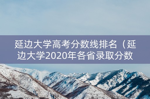 延边大学高考分数线排名（延边大学2020年各省录取分数线）