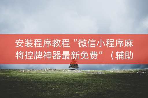 安装程序教程“微信小程序麻将控牌神器最新免费”（辅助器通用版)
