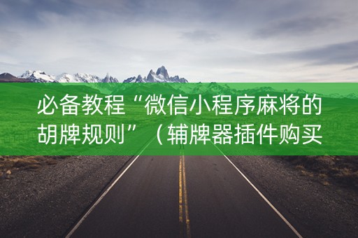 必备教程“微信小程序麻将的胡牌规则”（辅牌器插件购买)