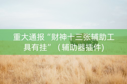 重大通报“财神十三张辅助工具有挂”（辅助器插件)