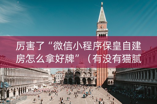 厉害了“微信小程序保皇自建房怎么拿好牌”（有没有猫腻)