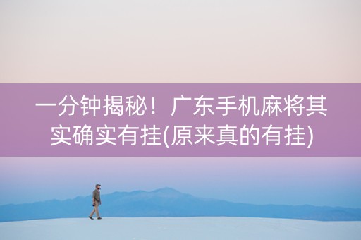 一分钟揭秘！广东手机麻将其实确实有挂(原来真的有挂)