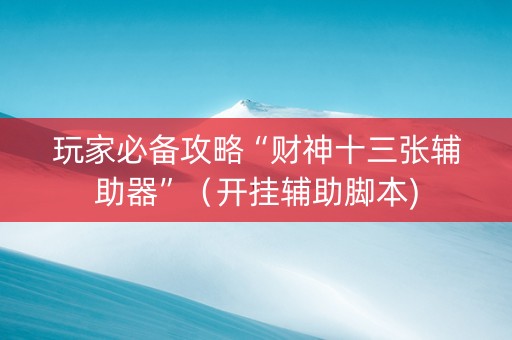 玩家必备攻略“财神十三张辅助器”（开挂辅助脚本)
