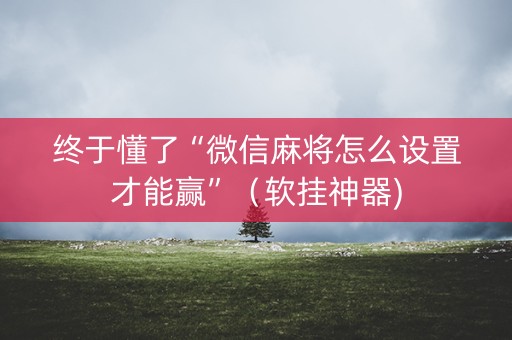 终于懂了“微信麻将怎么设置才能赢”（软挂神器)