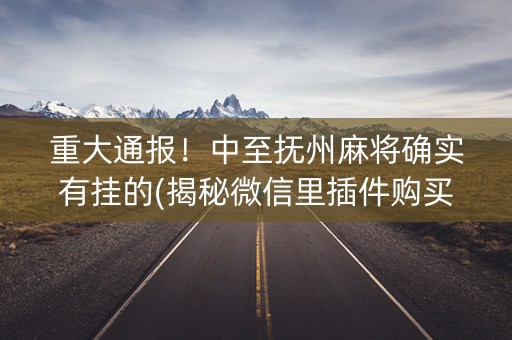 重大通报！中至抚州麻将确实有挂的(揭秘微信里插件购买)