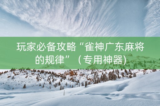 玩家必备攻略“雀神广东麻将的规律”（专用神器)