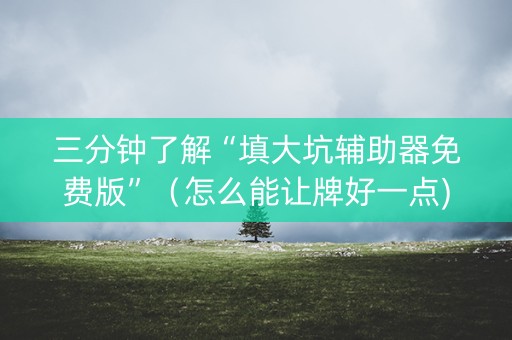 三分钟了解“填大坑辅助器免费版”（怎么能让牌好一点)