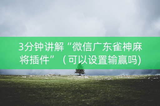 3分钟讲解“微信广东雀神麻将插件”（可以设置输赢吗)