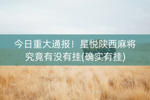 今日重大通报！星悦陕西麻将究竟有没有挂(确实有挂)