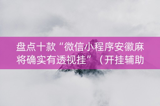 盘点十款“微信小程序安徽麻将确实有透视挂”（开挂辅助器插件)