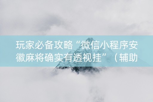玩家必备攻略“微信小程序安徽麻将确实有透视挂”（辅助挂发牌规律)