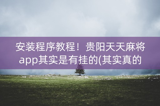 安装程序教程！贵阳天天麻将app其实是有挂的(其实真的确实有挂)