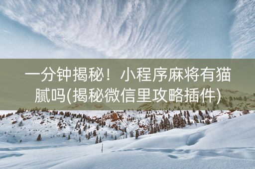 一分钟揭秘！小程序麻将有猫腻吗(揭秘微信里攻略插件)