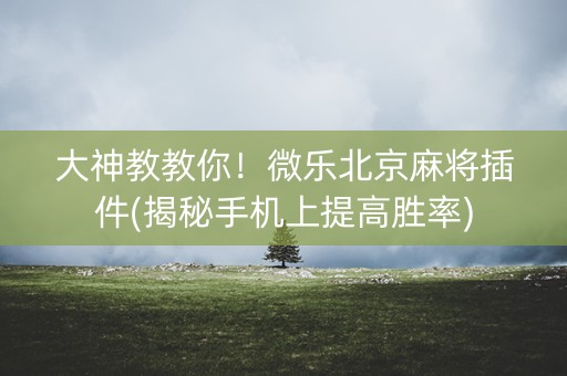 大神教教你！微乐北京麻将插件(揭秘手机上提高胜率)