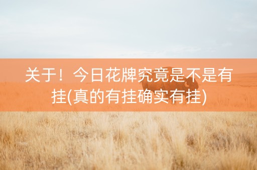 关于！今日花牌究竟是不是有挂(真的有挂确实有挂)