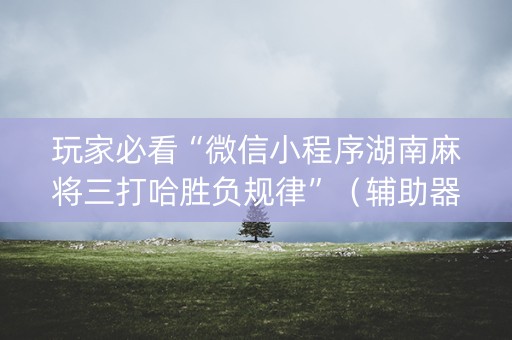 玩家必看“微信小程序湖南麻将三打哈胜负规律”（辅助器插件)