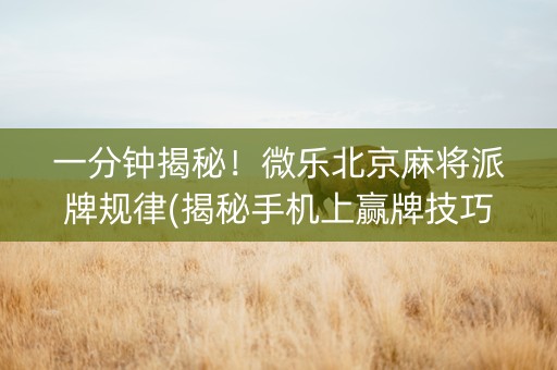 一分钟揭秘！微乐北京麻将派牌规律(揭秘手机上赢牌技巧)