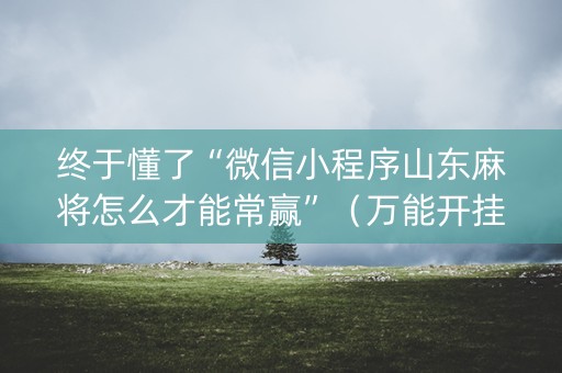 终于懂了“微信小程序山东麻将怎么才能常赢”（万能开挂神器)