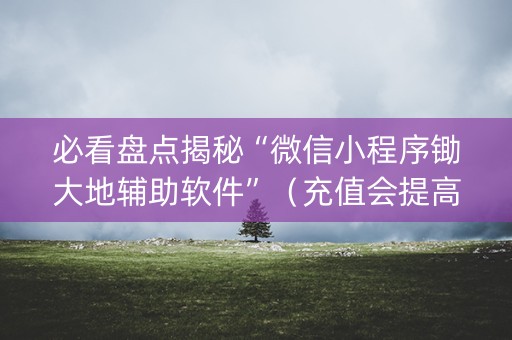 必看盘点揭秘“微信小程序锄大地辅助软件”（充值会提高胜率么)