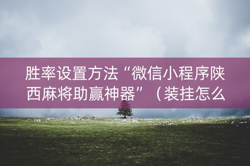 胜率设置方法“微信小程序陕西麻将助赢神器”（装挂怎么安装)