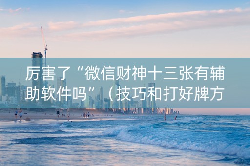 厉害了“微信财神十三张有辅助软件吗”（技巧和打好牌方法)