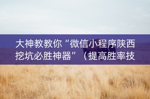 大神教教你“微信小程序陕西挖坑必胜神器”（提高胜率技巧)