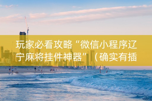 玩家必看攻略“微信小程序辽宁麻将挂件神器”（确实有插件吗)