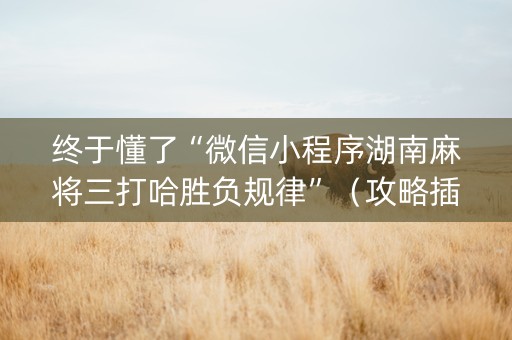 终于懂了“微信小程序湖南麻将三打哈胜负规律”（攻略插件)
