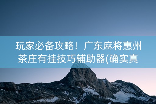 玩家必备攻略！广东麻将惠州茶庄有挂技巧辅助器(确实真有挂)