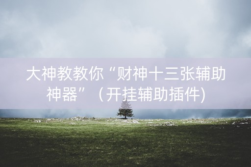 大神教教你“财神十三张辅助神器”（开挂辅助插件)