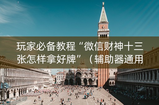 玩家必备教程“微信财神十三张怎样拿好牌”（辅助器通用版)