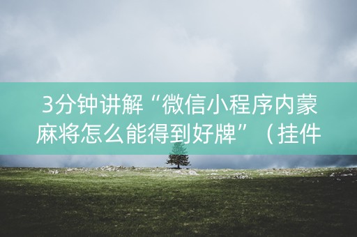 3分钟讲解“微信小程序内蒙麻将怎么能得到好牌”（挂件神器)