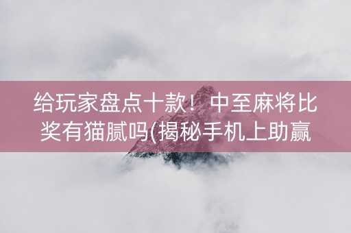 给玩家盘点十款！中至麻将比奖有猫腻吗(揭秘手机上助赢软件)