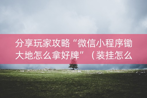 分享玩家攻略“微信小程序锄大地怎么拿好牌”（装挂怎么安装)