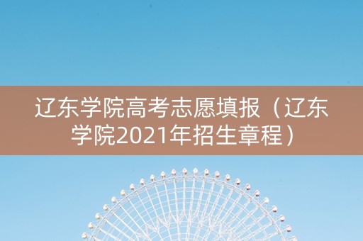 辽东学院高考志愿填报（辽东学院2021年招生章程）