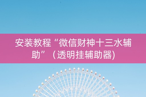 安装教程“微信财神十三水辅助”（透明挂辅助器)