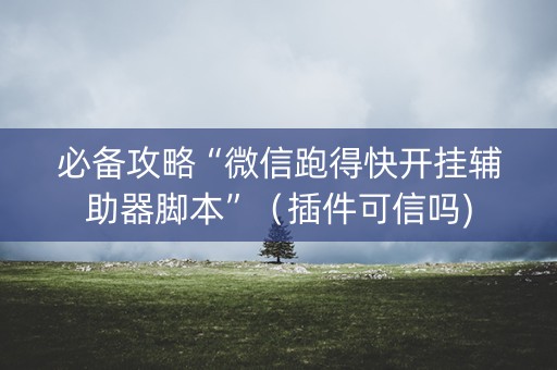必备攻略“微信跑得快开挂辅助器脚本”（插件可信吗)