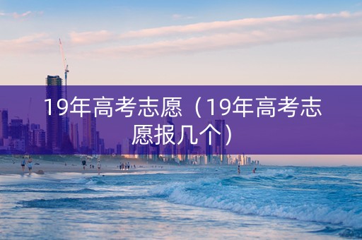 19年高考志愿（19年高考志愿报几个）