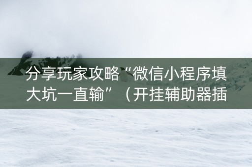 分享玩家攻略“微信小程序填大坑一直输”（开挂辅助器插件)
