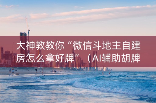 大神教教你“微信斗地主自建房怎么拿好牌”（AI辅助胡牌规则)