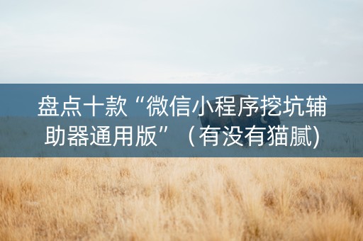 盘点十款“微信小程序挖坑辅助器通用版”（有没有猫腻)