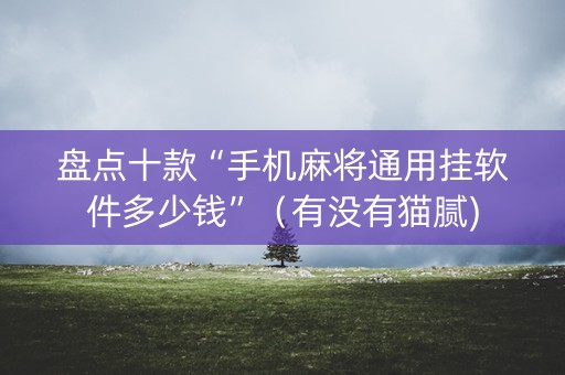 盘点十款“手机麻将通用挂软件多少钱”（有没有猫腻)
