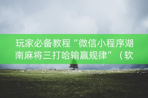 玩家必备教程“微信小程序湖南麻将三打哈输赢规律”（软挂神器)
