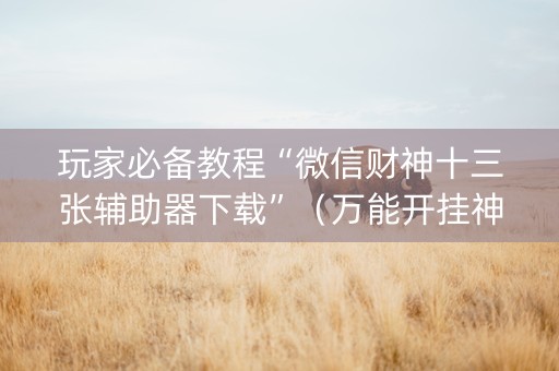 玩家必备教程“微信财神十三张辅助器下载”（万能开挂神器)