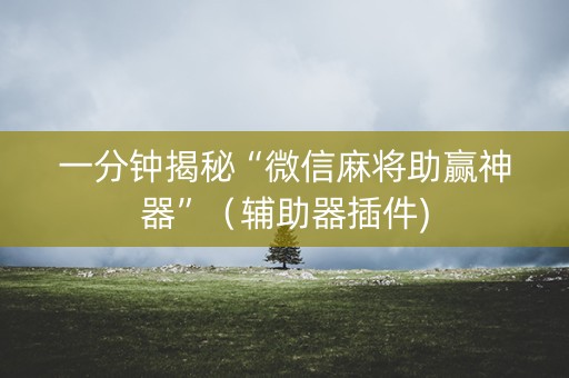 一分钟揭秘“微信麻将助赢神器”（辅助器插件)