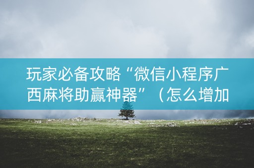 玩家必备攻略“微信小程序广西麻将助赢神器”（怎么增加胜率)
