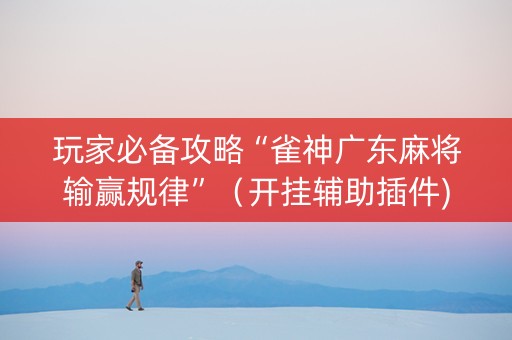 玩家必备攻略“雀神广东麻将输赢规律”（开挂辅助插件)