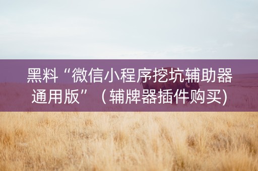 黑料“微信小程序挖坑辅助器通用版”（辅牌器插件购买)